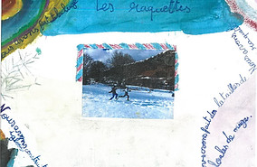 p6.jpg