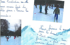 p10.jpg