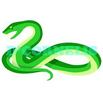 Snake.jpg