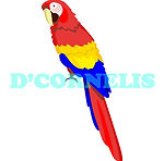 Parrot 1.jpg