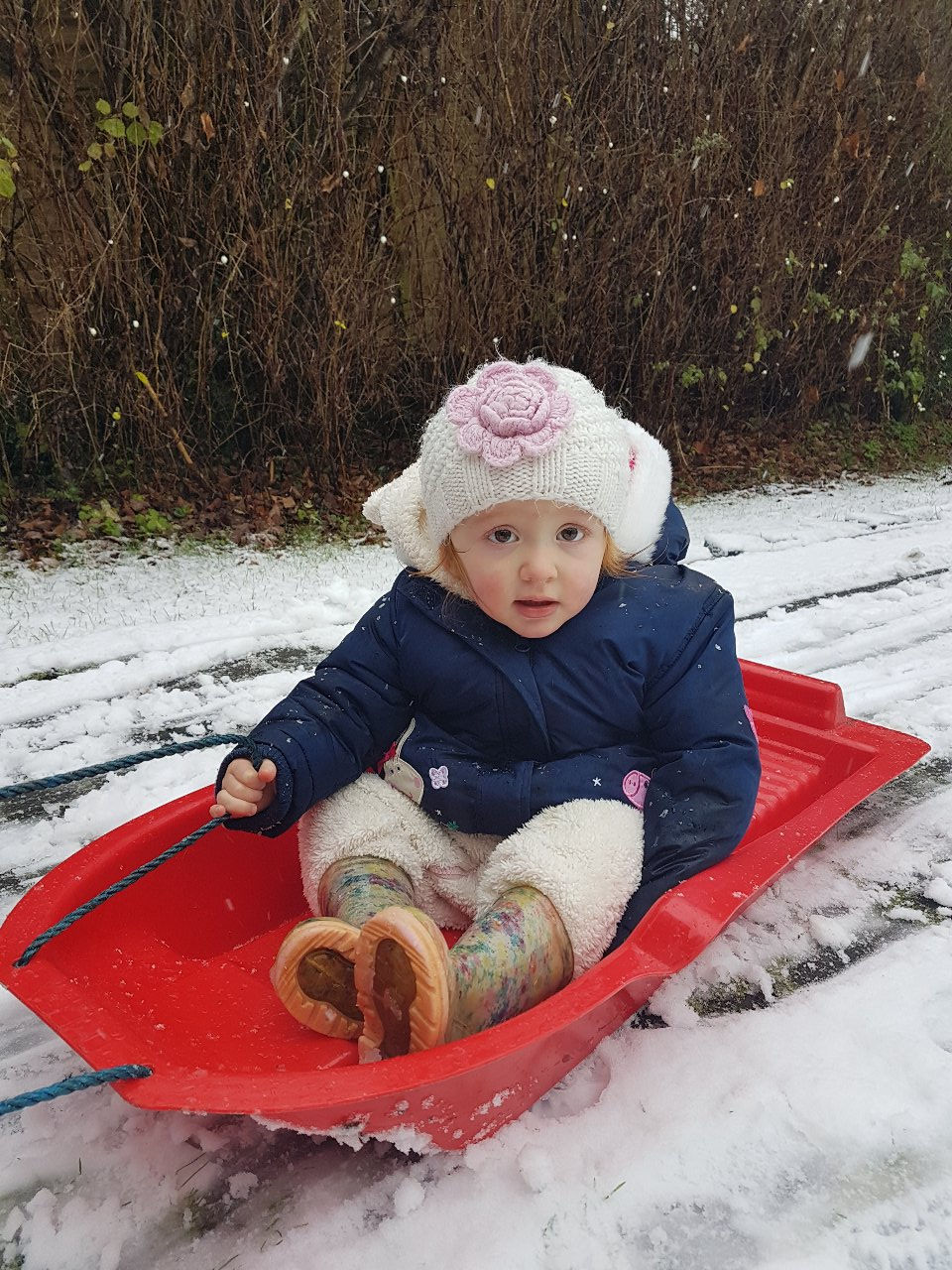 Aoife on her sledge in the snow