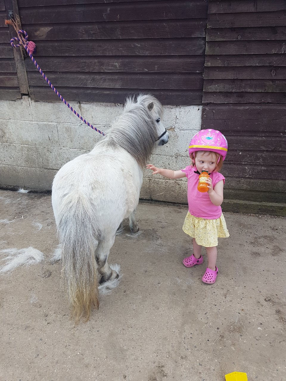 Aoife & Bubbles