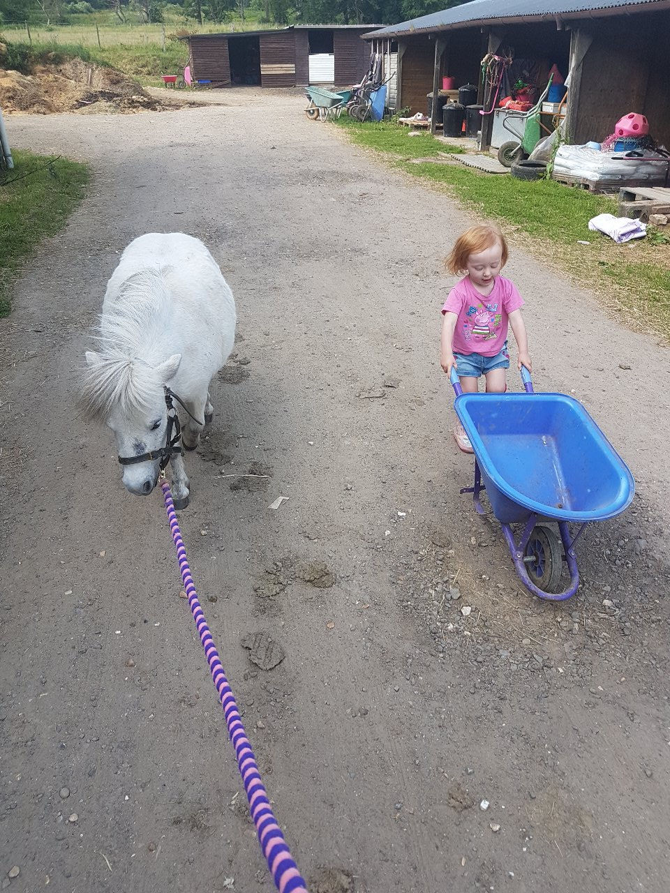 Aoife at the stables