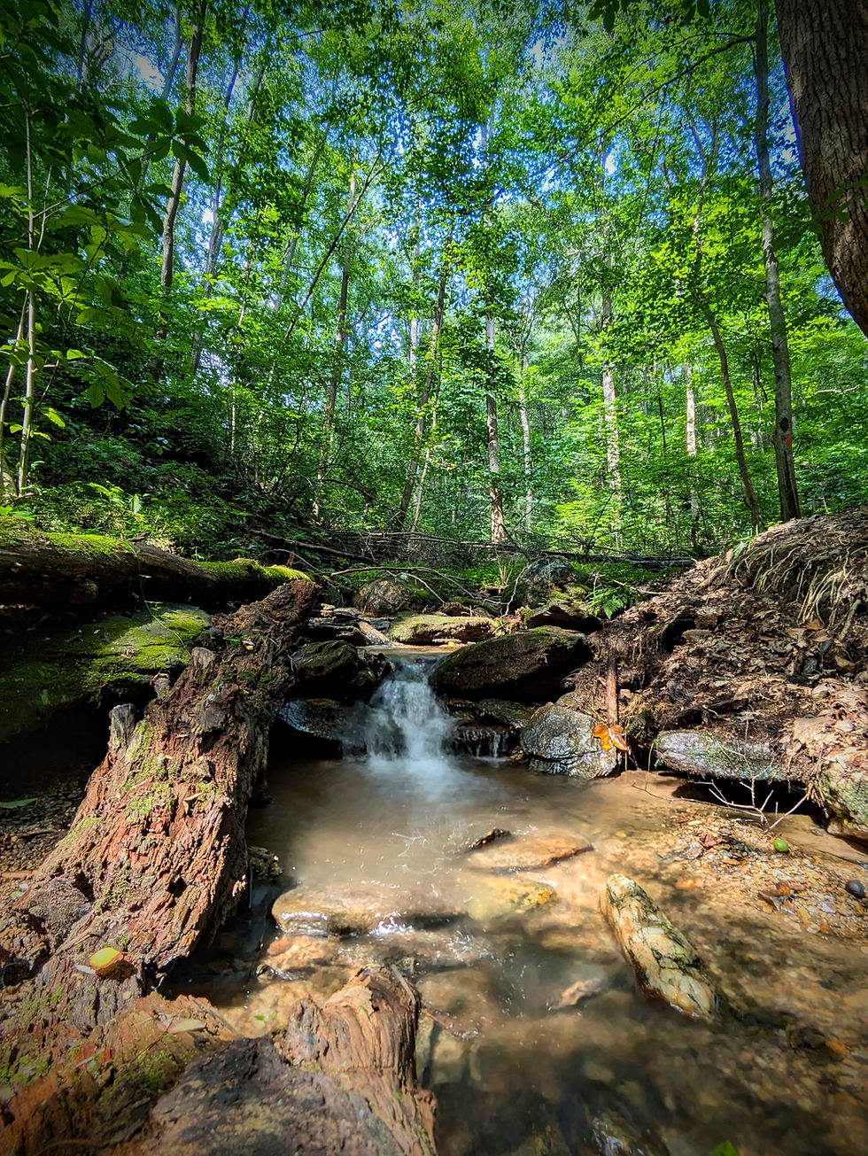 Small Group Mystery Hike
