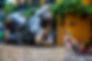 shutterstock_1209708046.jpg