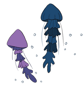 Jellyfish3.png