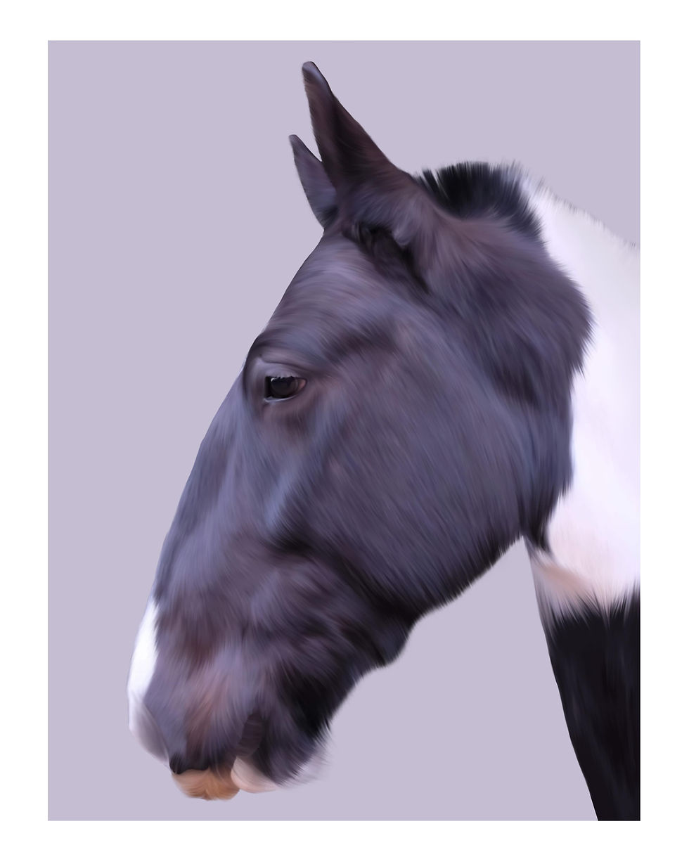 Thumbnail: Custom Realistic Pet Portrait Digital Illustration - Double