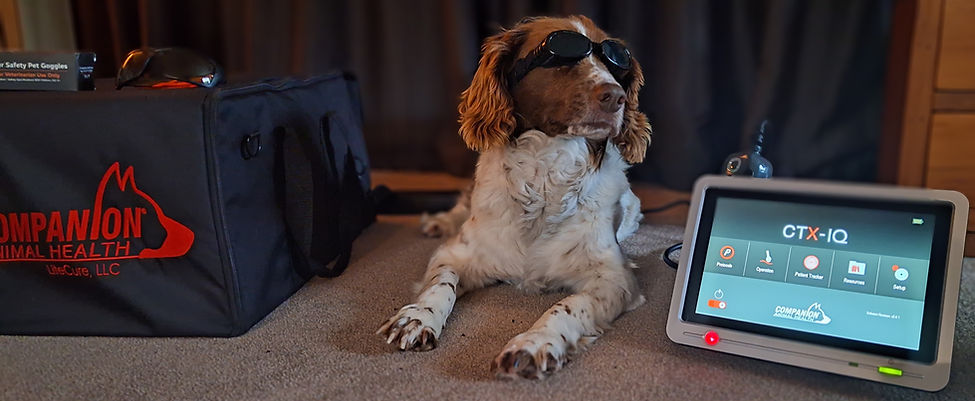 Laser_Therapy