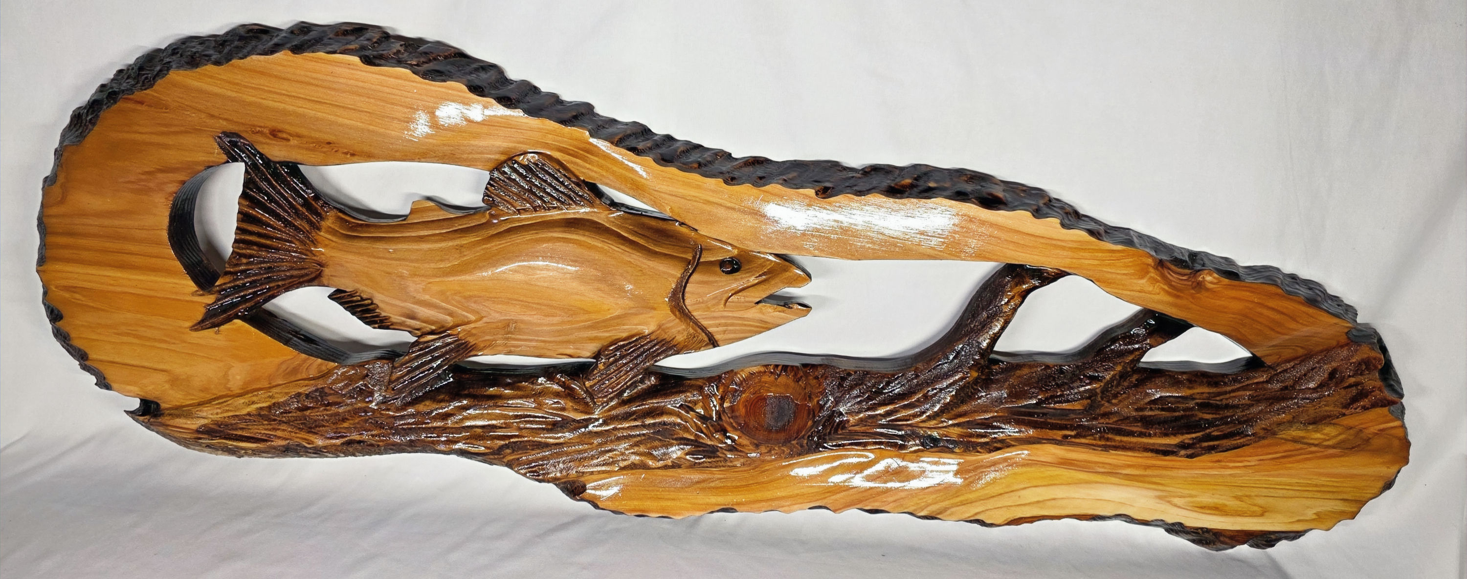 Pacific Tide Runner Salmon