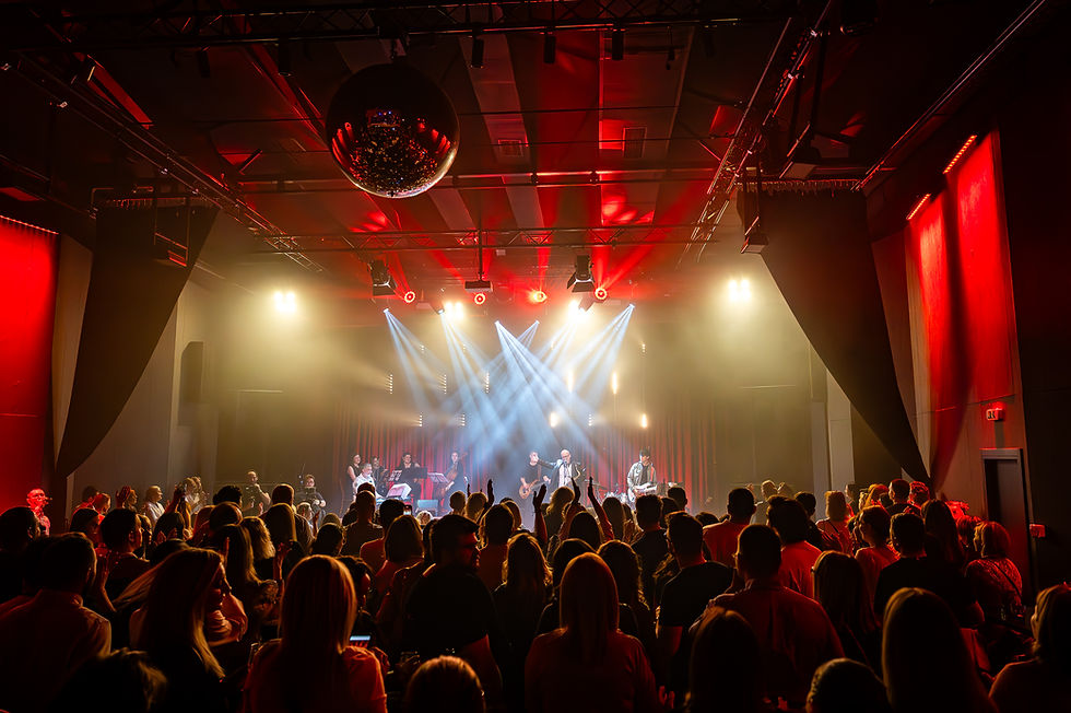Igor Geržina performing live in concert