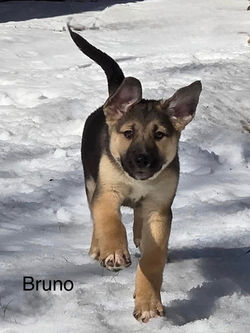 1bb073bb29d94a1f91fe64e023b95679