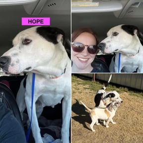 Hope (female)