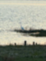 Great Egg Harbor River - 2 miles