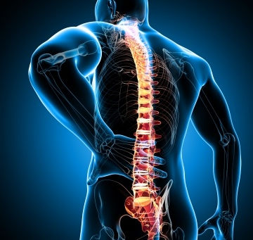 Improving Quality of Life while Living with Chronic Pain