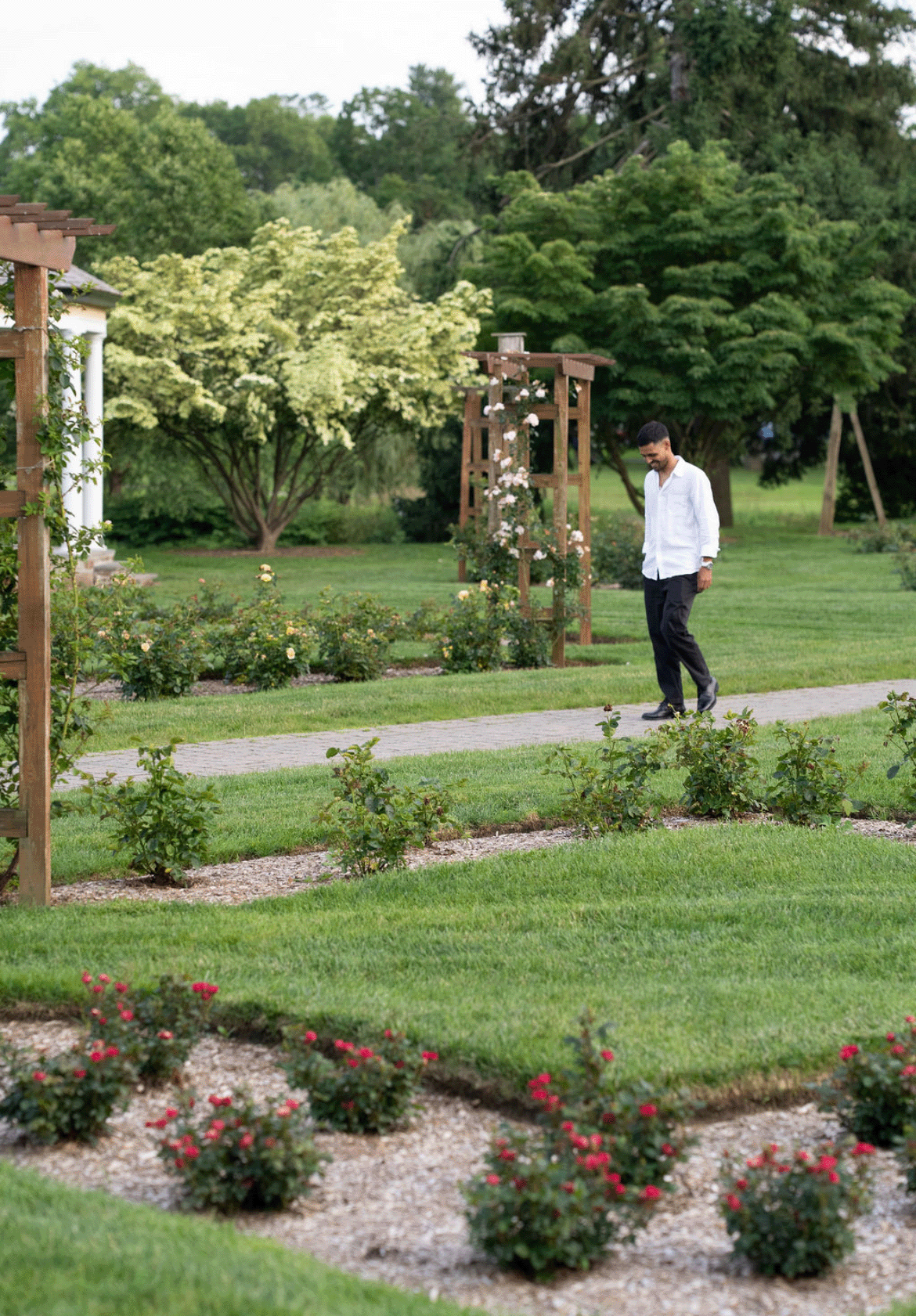 Mel Iz Gif 01 (1.5).gif