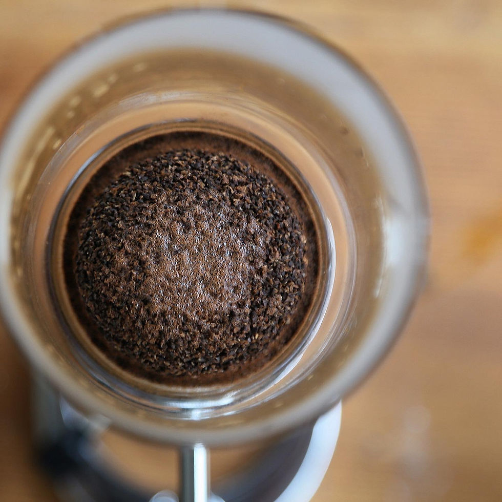 サムネイル： Siphon Coffee Workshop 種まき編（初級編）【5/22】