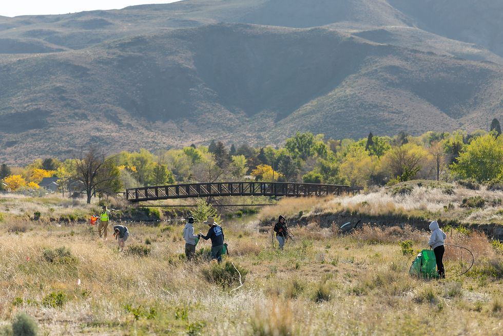 Volunteers help prepare the Rosewood Nature Study Area for opening during a cleanup event. 