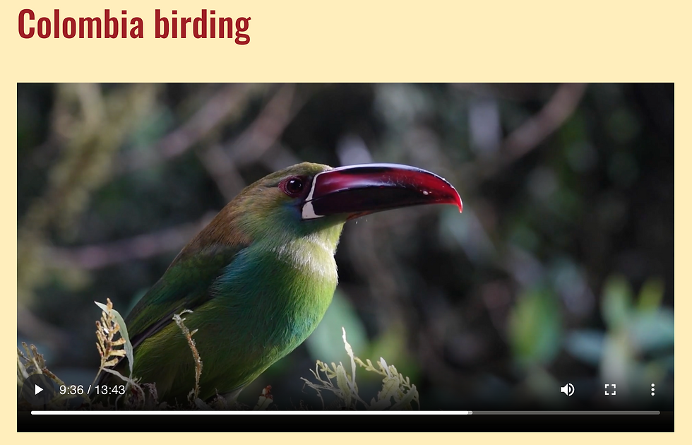 Click the image above to watch Robin Holabird’s video showing highlights from our tour in February.