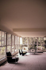 cali xprocessed march025edit.jpg