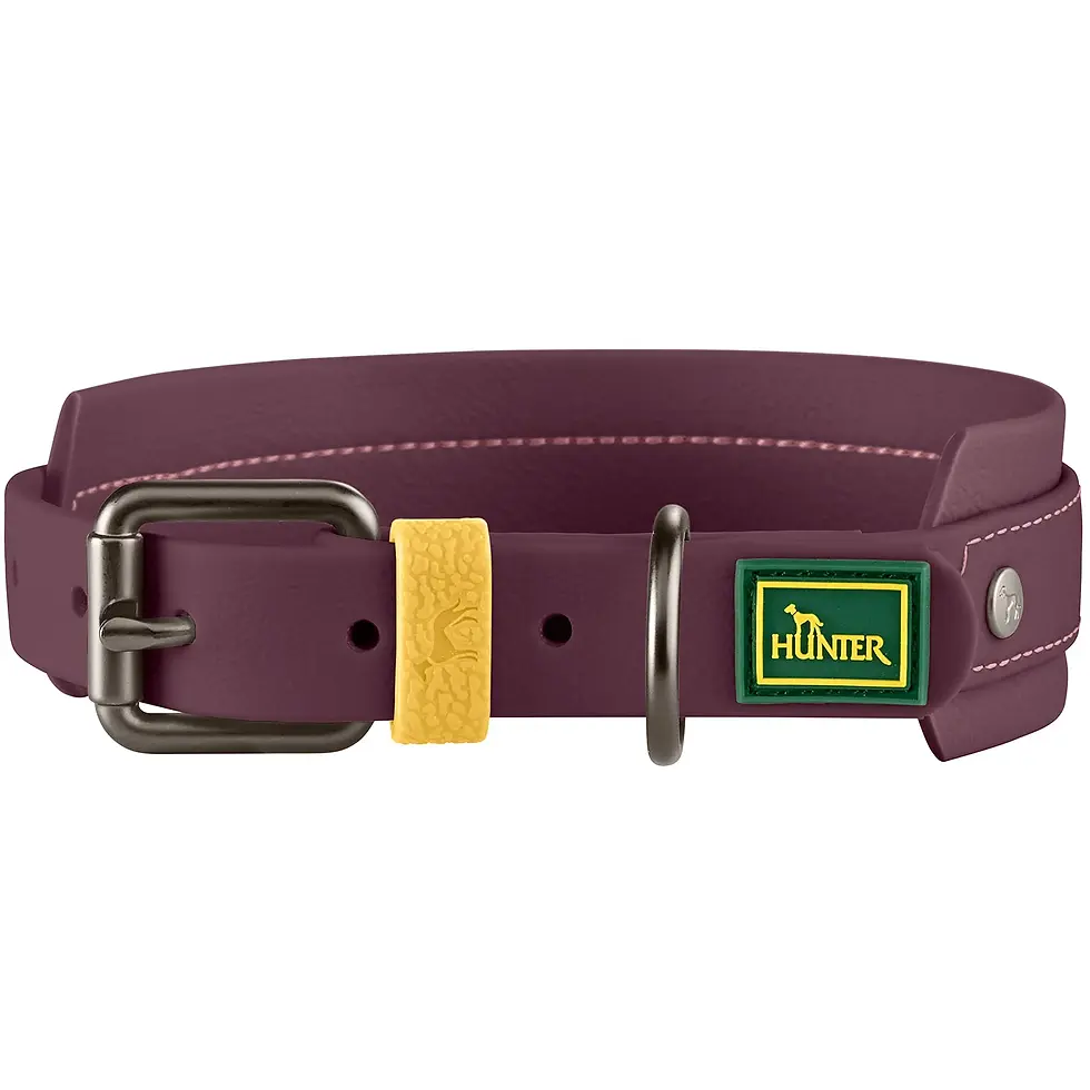 Halsband Havanna /Hunter