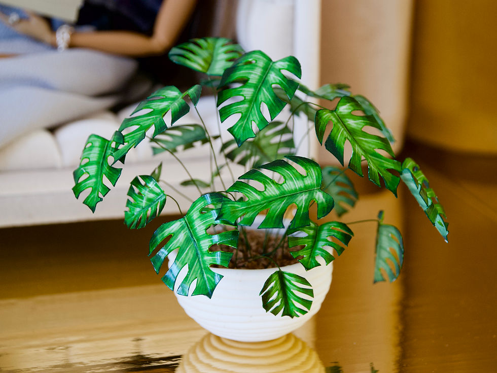 Thumbnail: 1:12 scale MONSTERA indoor houseplants doll house roombox indoor plant
