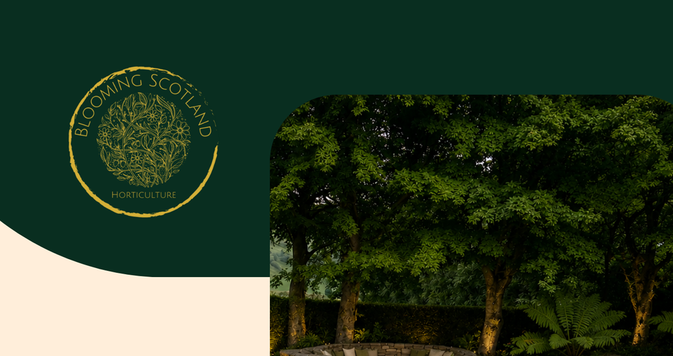 Woodland Neuk - Garden Design concept in Fife, Scotland. Showing an image of the concept design pack