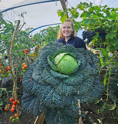 Early September in Scottish Gardens