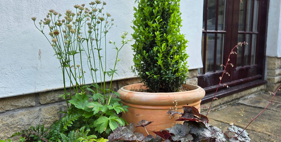 3 pot arrangement in garden design and build Cosy-Courtyard in Stirling, Scotland. Showing new 3 pot arrangement of low maintenance plants