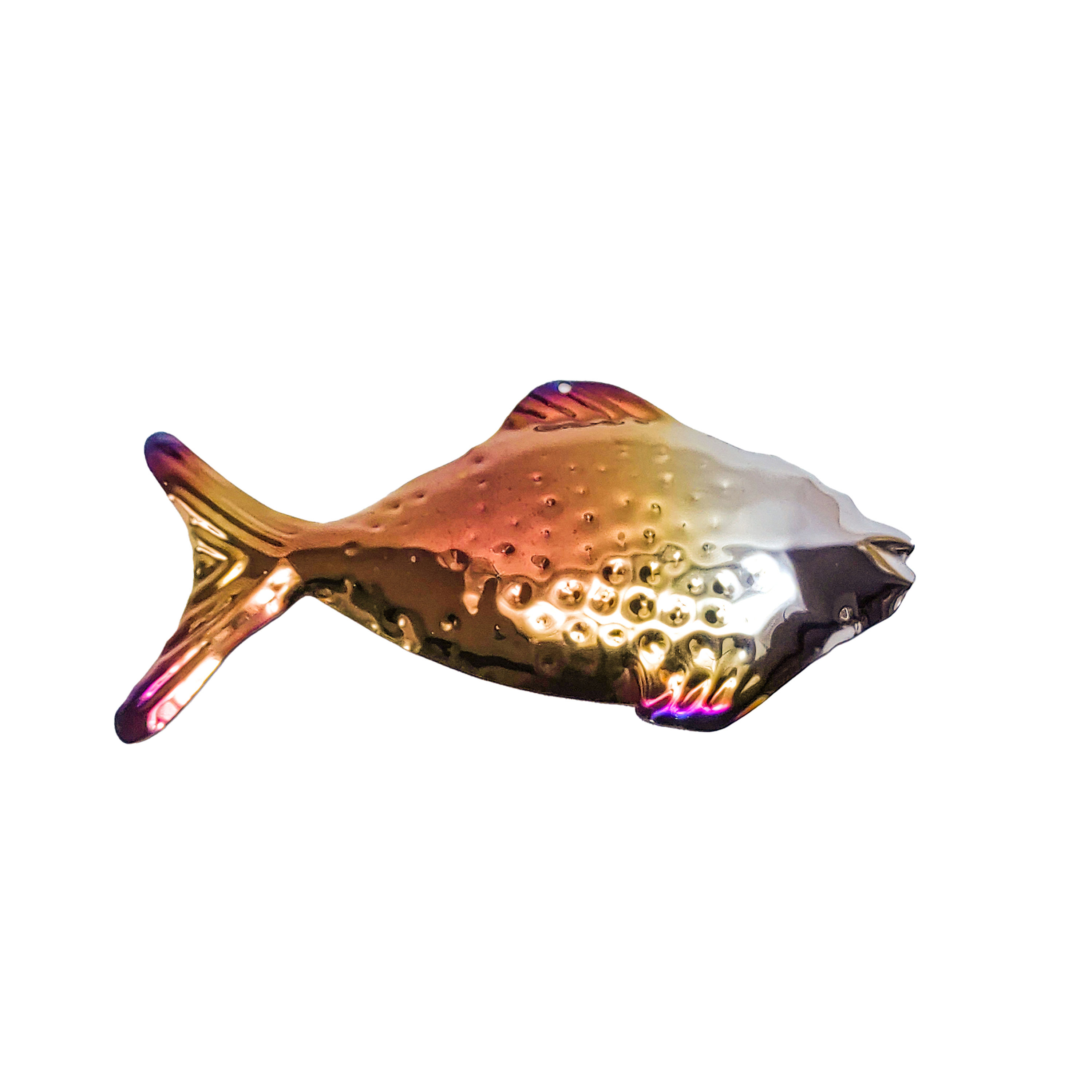 Patinated grazing fish