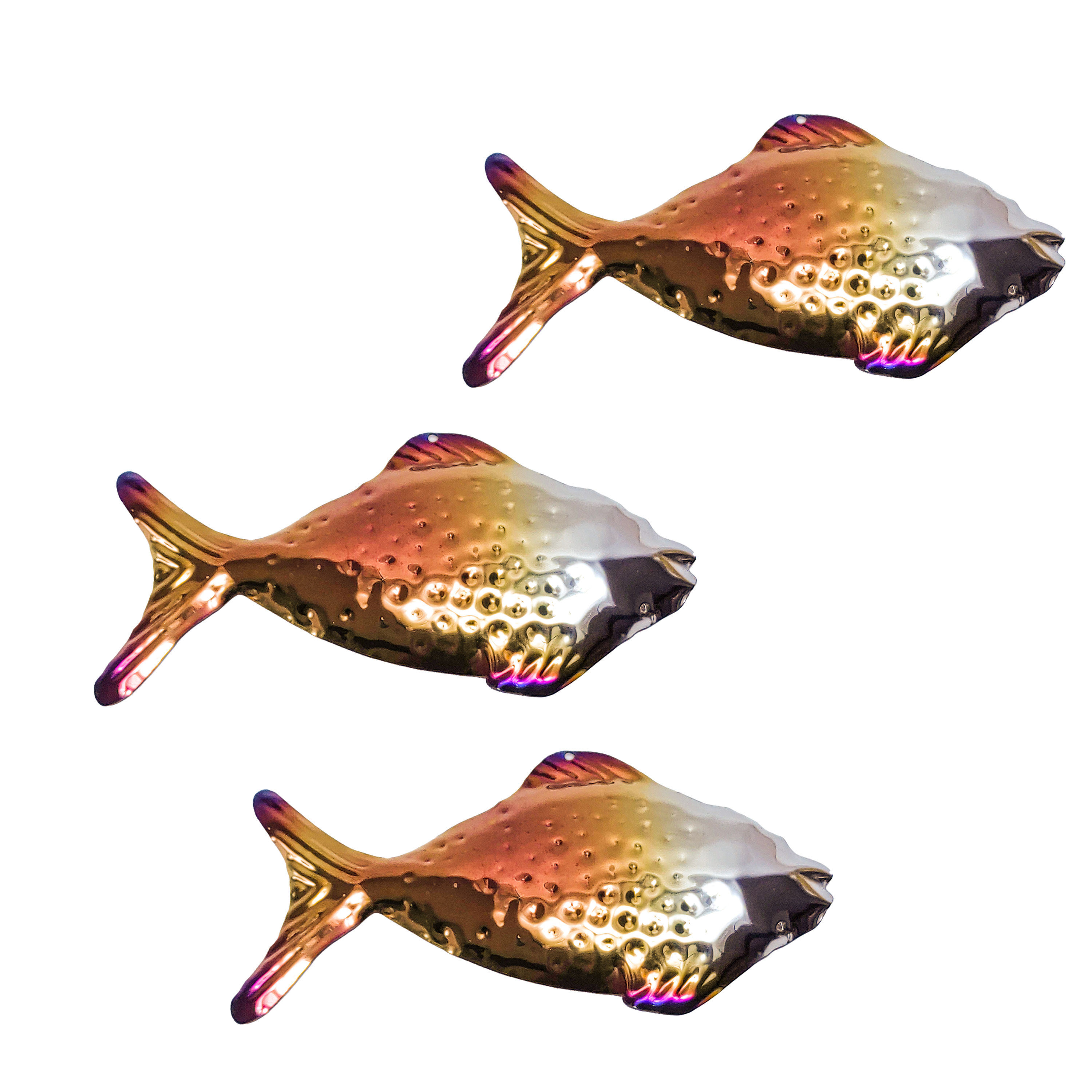 Shoal of 3 Grazing Fish Patinaton