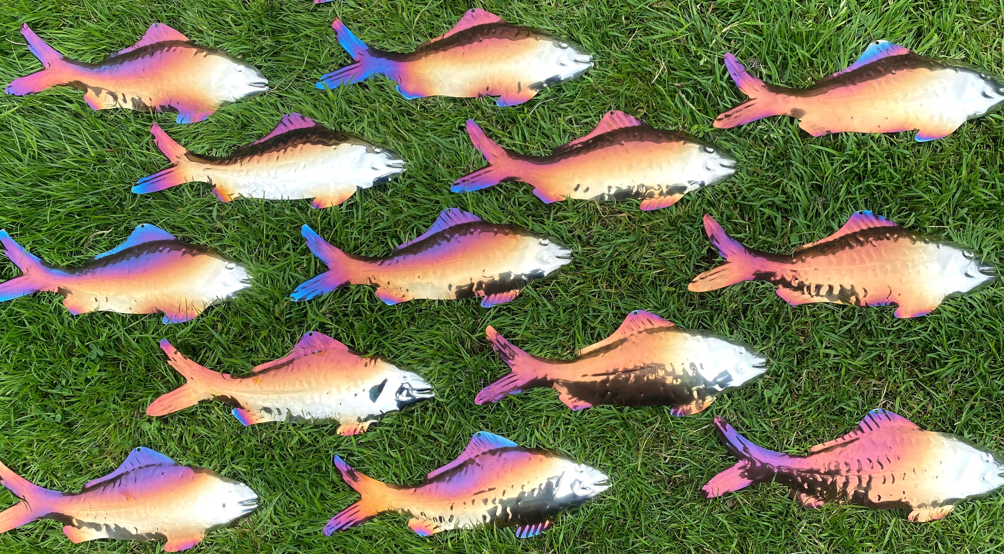 purple-patinated-predator-fish-best-shoa