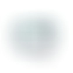 Enhancing SafaiMitra Initiatives Through Digital Workforce Accountability Solutions