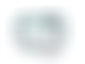 Enhancing SafaiMitra Initiatives Through Digital Workforce Accountability Solutions