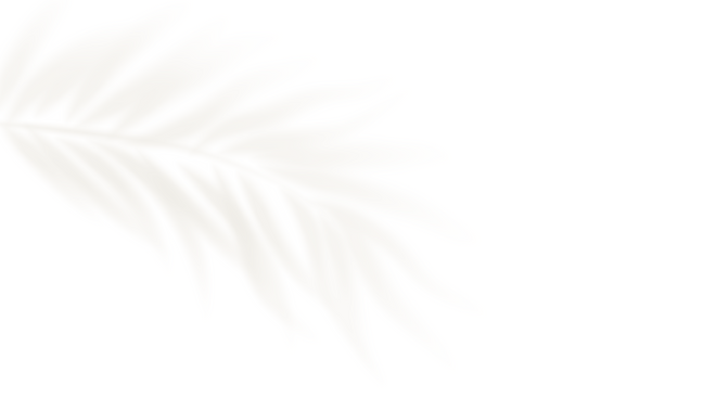 Untitled design (4).png