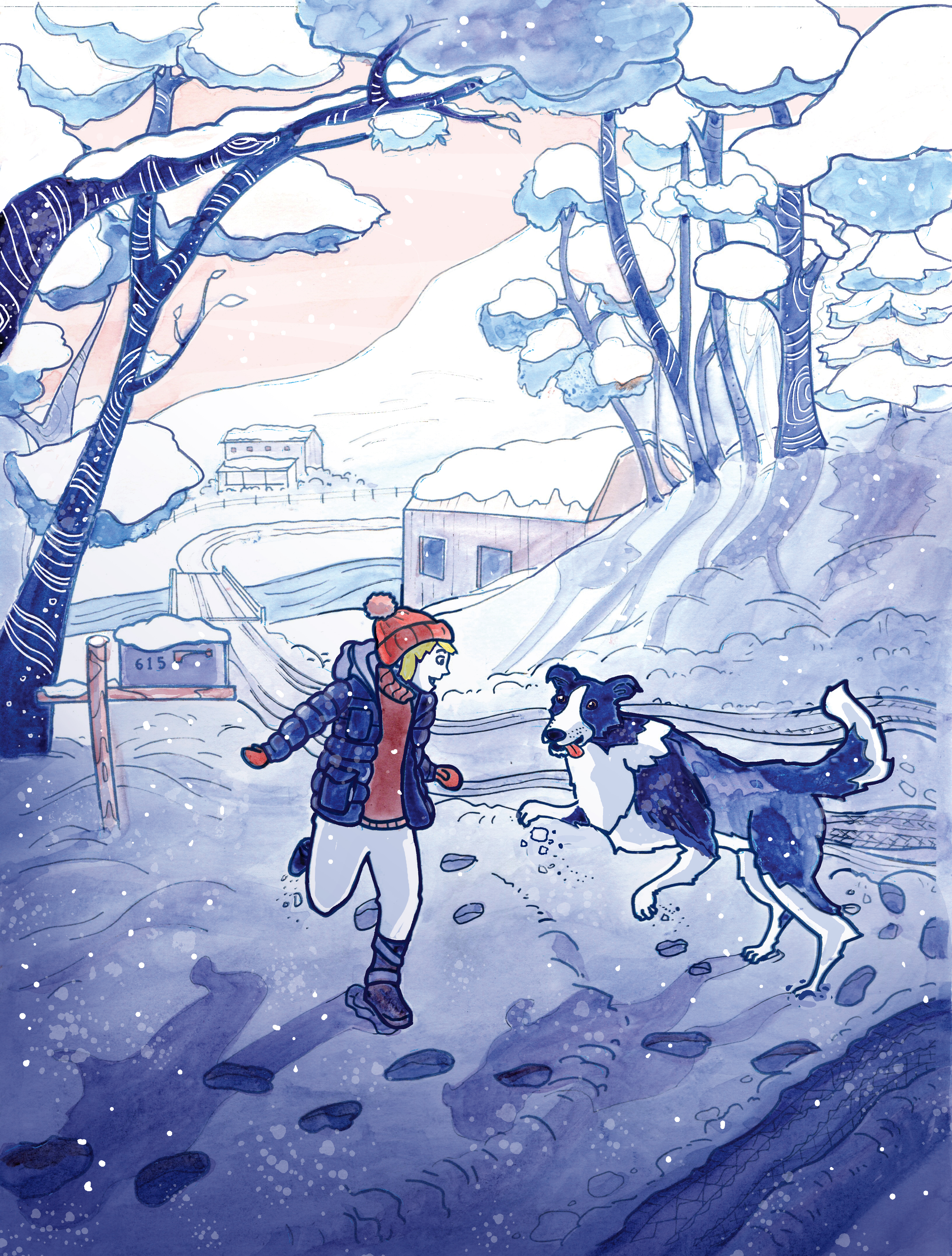 Border Collie