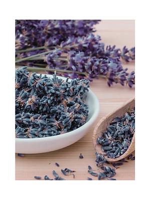 ice pack for headaches lavendar add on.