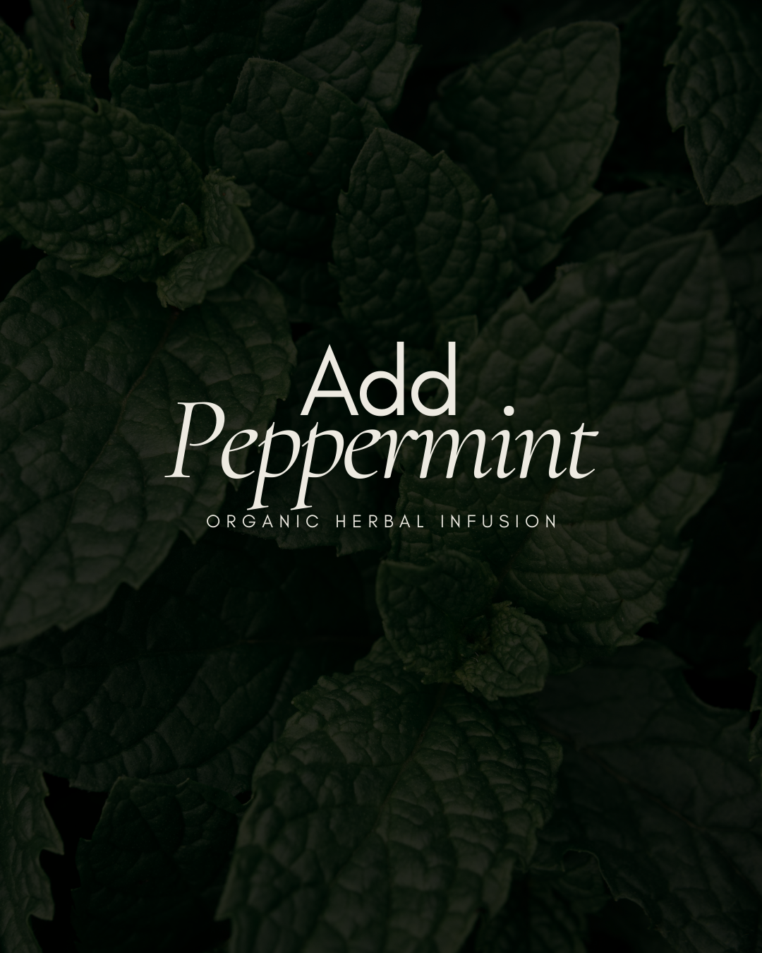 Organic Dried Peppermint