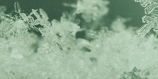 Middle Banner.png