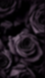 IMG_0820_edited.png