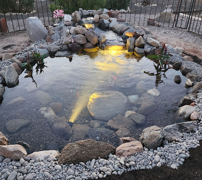 Golden ValleyEcosystemPond.jpg