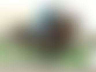 Paddys Day Takes Darley Sprint (G3) following Like Moulin Rouge DQ