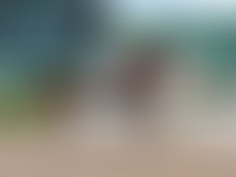 Quick Sand AA Duels With Diamond Gem AA For the Win in the Darley Sprint (G2)