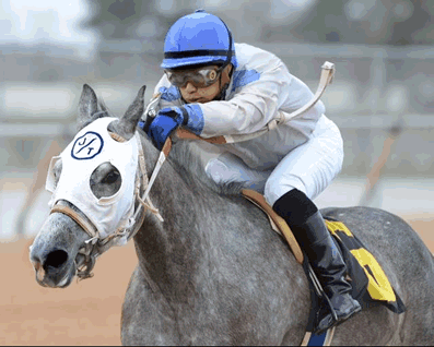 DAFRYNCH Wins in Houston