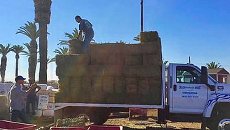 PAT Response to California Wildfire Relief

