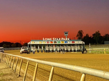 Upcoming Arabian Races at Lone Star