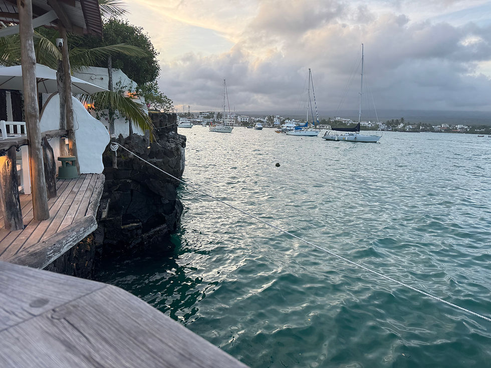 View from Eloise Restaurant next to the Cave Hotel. Very rich history as Eloise was reportedly a dutchess that came to Galapagos in 1932 with two young lovers. She and one of them disappeared and their bodies were later found on another island, reportedly died from starvation. (Not sure if I am buying that).