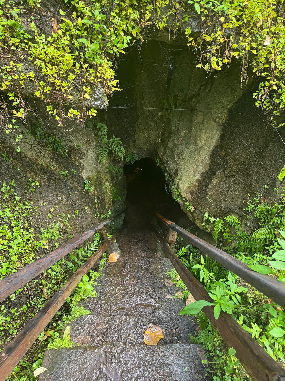 Entrance to Lava Tunnel, pretty steep wet steps