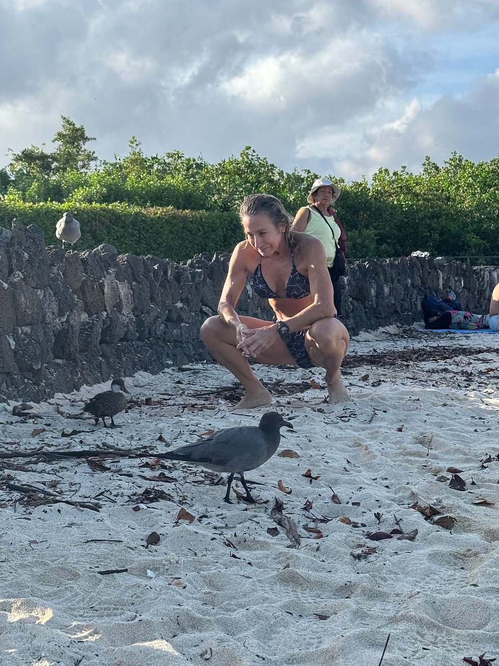 Finch bay birdlife: small duck was my favorite