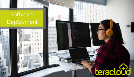 Teracloud: Your Partner in Software Deployment Excellence