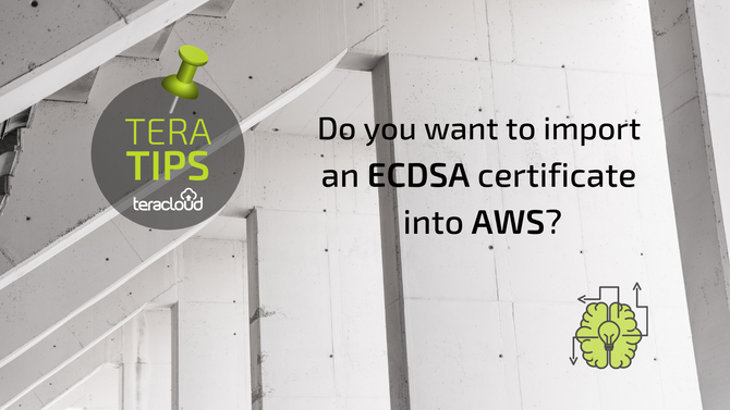 Do you want to import an ECDSA certificate into AWS?